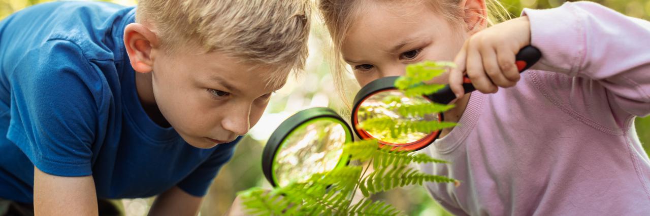 Wyniki konkursu dzielnicowego „Przyroda w fotografii”