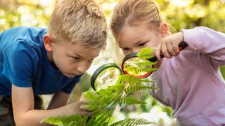 Wyniki konkursu dzielnicowego „Przyroda w fotografii”