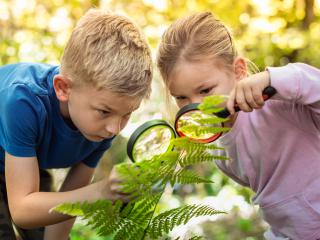 Wyniki konkursu dzielnicowego „Przyroda w fotografii”