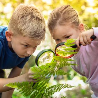 Wyniki konkursu dzielnicowego „Przyroda w fotografii”
